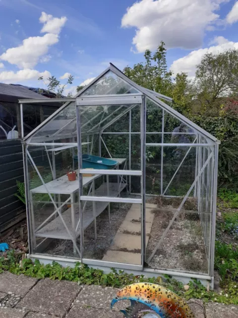 Greenhouse aluminium and glass with staging approx 6'5x8'4. heIght 6'10