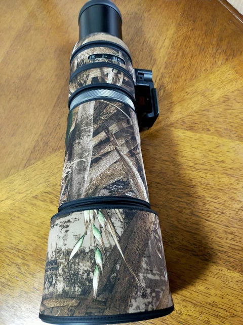 Canon Telephoto Lens Rf800Mm F11 Is Stm Tripod Mount Hood With Coat