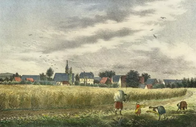 GÖLLNITZ - Sachsens Kirchen-Galerie - kolorierte Lithographie 1843