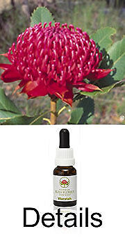 WARATAH Australian Bush Flower Essences flores arbustivas australianas
