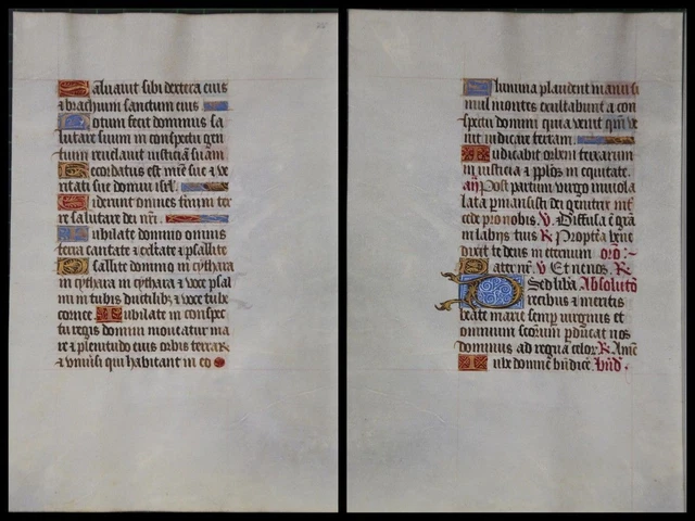Illuminierte Grafia Su Pergamena Foglia Di Uno Miniatura Um 1500 (083)