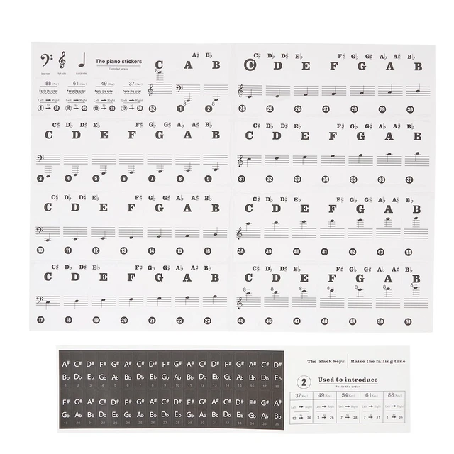 Music Keyboard Or Piano Stickers 61 KEY SET Educational Toy Transparent Stickers