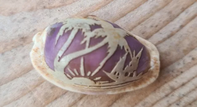 Vintage Hand Carved Tiger Cowrie Shell With A Beach Scene At Sunset | 3.5cm Long