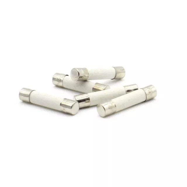 ⚡ Lot de 5 Fusibles Céramique 6x30mm Temporisé 5A - T5A - 250V, Fuse Ceramic