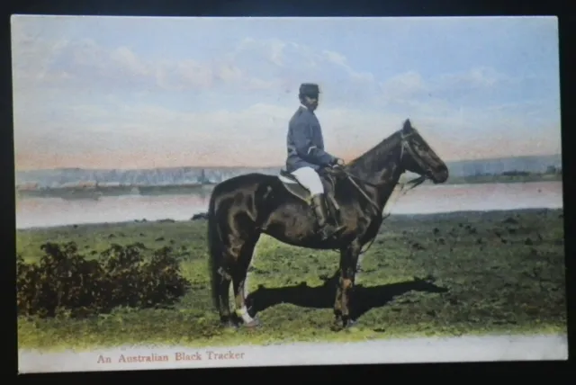 Australia Aboriginal Postcard "An Australian Black Tracker"