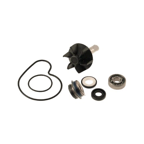 Kit révision pompe à eau pour SUZUKI Burgman 125 150 200 250 400