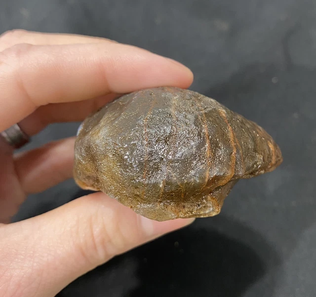 Rare Rough Botswana Agate whole nodule “THE LITTLE LUMPER” 5.3 Ounces B1 5