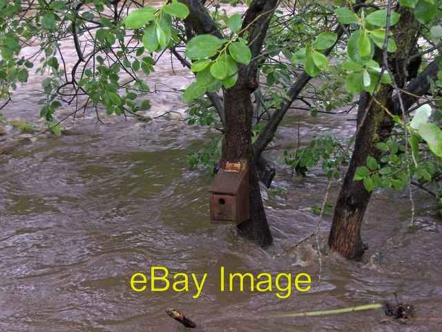 Photo 6x4 Bird Box during the Oughtibridge Flood in June 2007 See also pi c2007