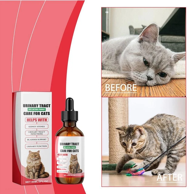 Gallery Detail: 100 Natural Product Urinary Tract Care For Cats Bladder Support