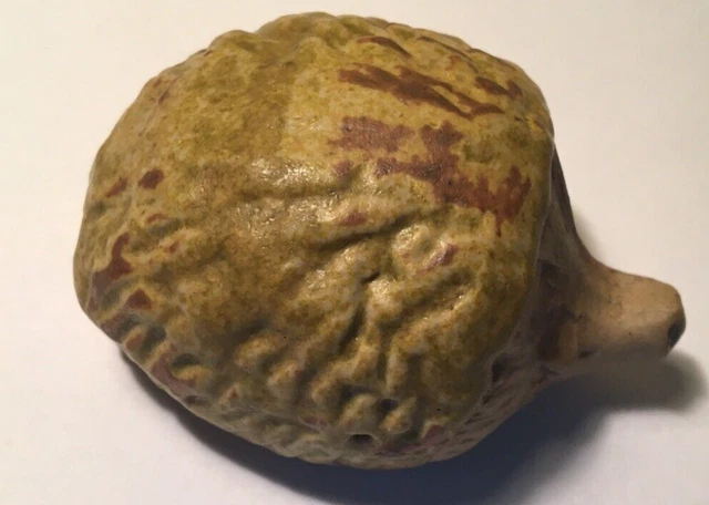 Tremar Pottery Cornwall Hedgehog