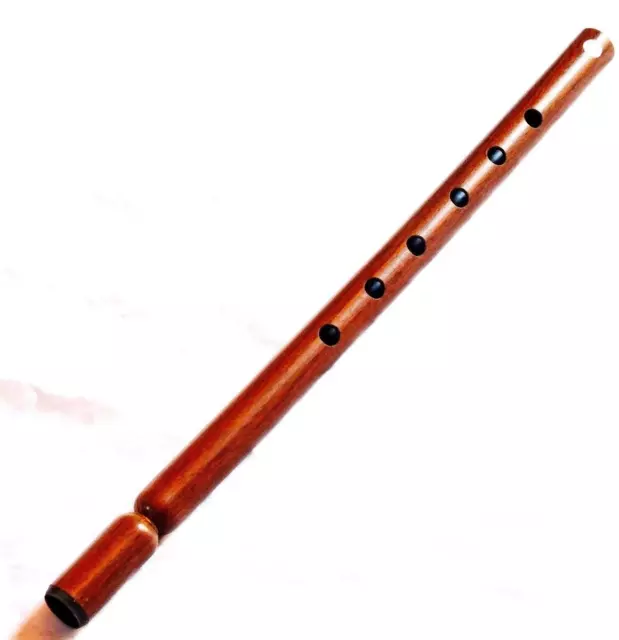 Woodwind Musical Instrument Plastic Made A La Kawala Salamiya