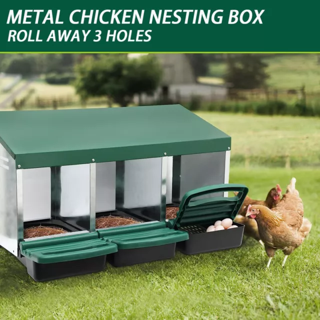 Chicken Hen Coop Hutch 3 Hole Inside Outside Roll Away Lay Egg Nesting Box Green