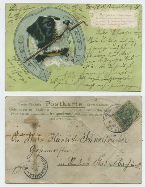 66039 - Dog with walking stick in his mouth - embossing card, run 20.6.1903