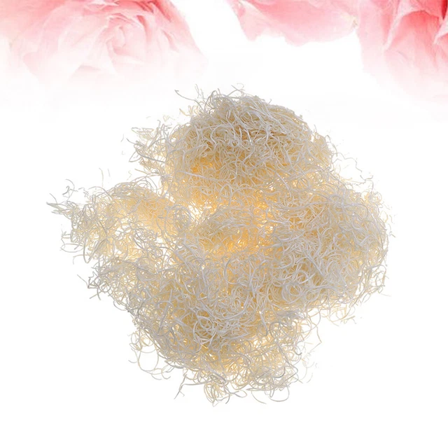 Brillo labial natural mancha labial pájaro lana de madera bambú