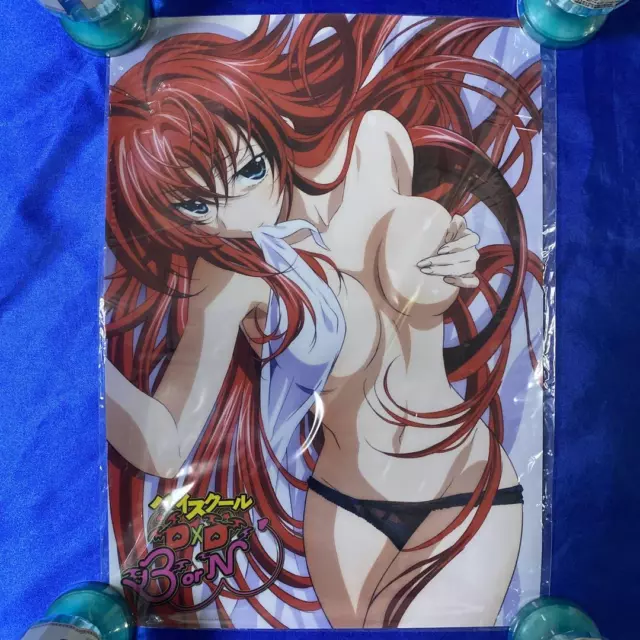 High School DXD Anime Premium POSTER MADE IN USA - HSD002