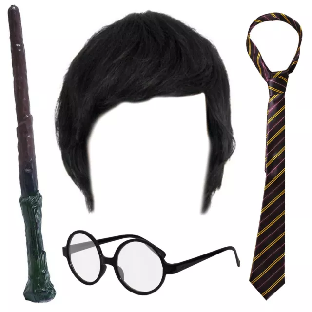 Adults Wizard Costume Set World Book Day Wand Wig Tie Glasses Unisex Fancy Dress