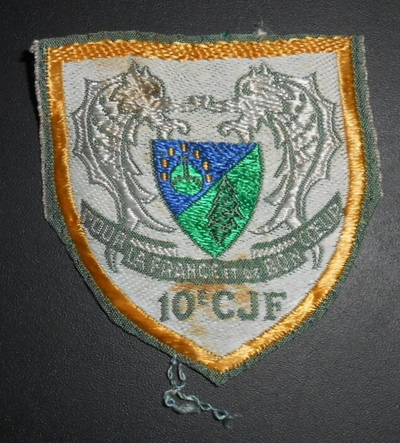 Insigne Groupement De Jeunesse N°5 Lyautey - Chantiers De La Jeunesse CJF, Objet Historique Français D'occasion