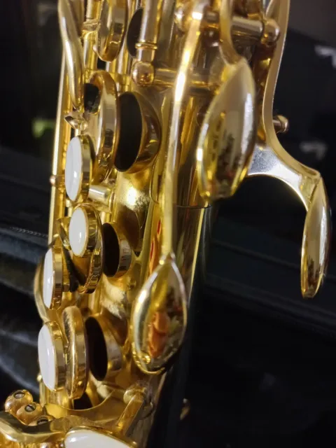 Saxophone Alto avec bocal en cuivre rose et tampons de fabrication Selmer 4