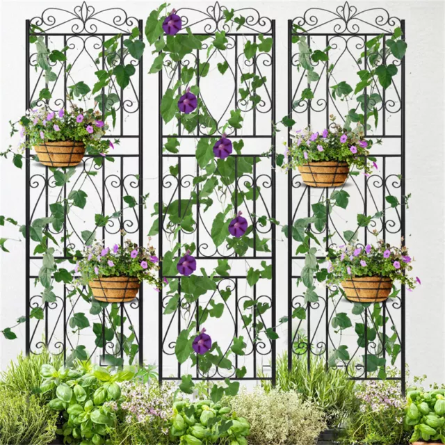 2X Anti-rust Metal Garden Trellis Wall Decorative Screen for Vine Rose Cucumbers