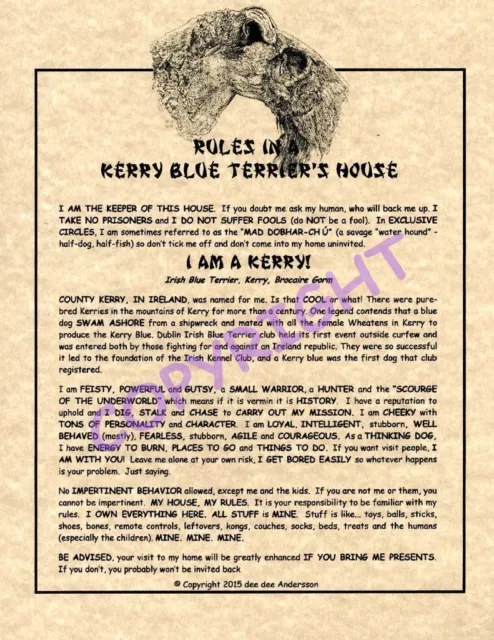 Rules In A Kerry Blue Terrier's House