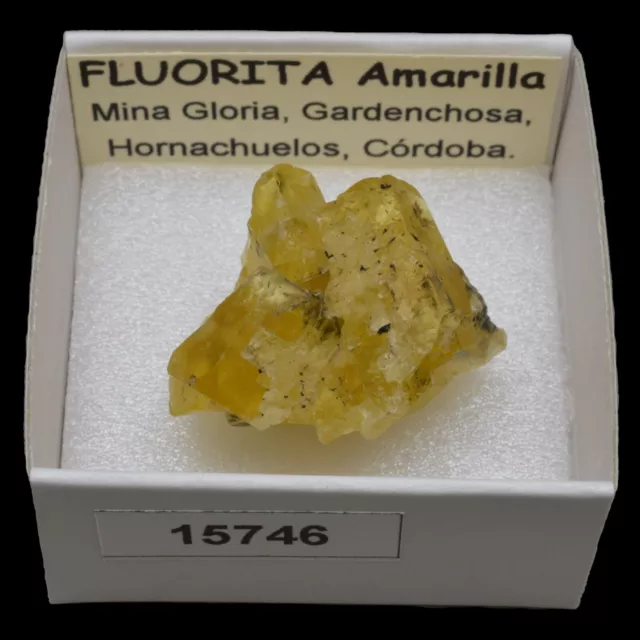 FLUORITA Amarilla (Mina Gloria, Hornachuelos, Cordoba) #15746 / Fluorite