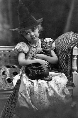 Antique Halloween Witch with Cat Photo 1443b Oddleys Strange & Bizarre