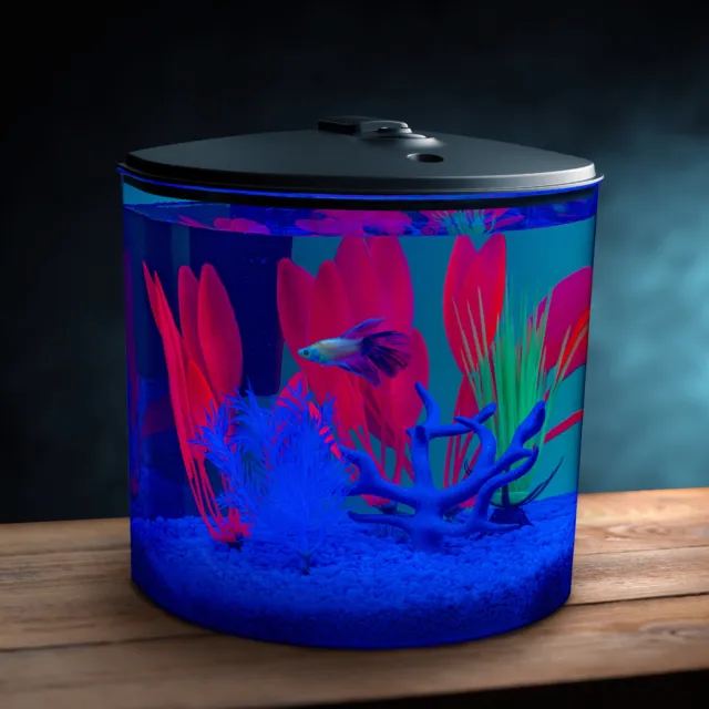 3.5 Gallon 180° View Aquarium Kit with LED Lighting and Filtration Home Office