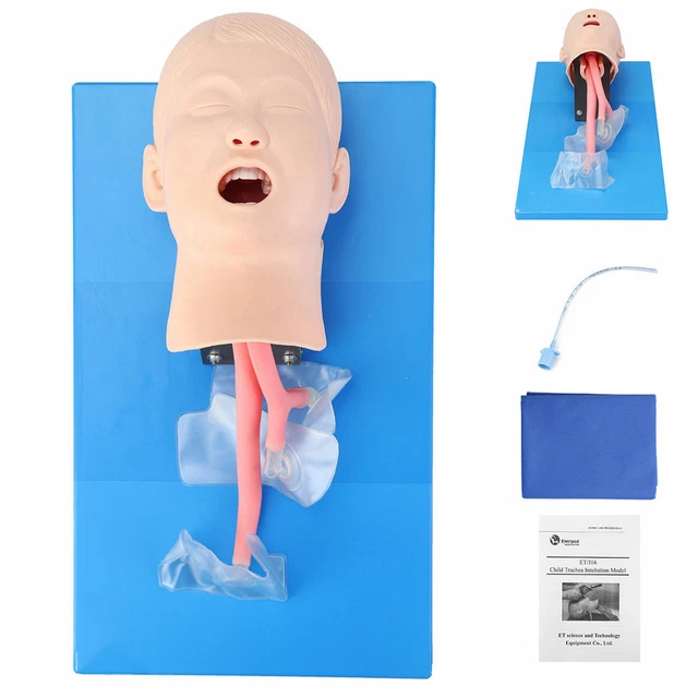 Intubation Manikin Study Teaching Child Model Airway Management Lab PVC Trainer