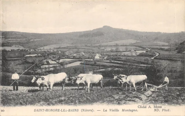 58-Saint Honore Les Bains-La Vieille Montagne-Bœufs-N°6023-F/0293