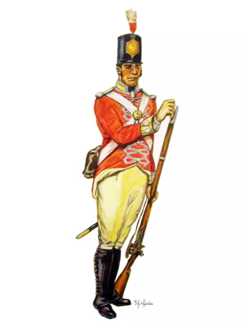 C1 Carte Postale  DESSIN JULLIAN - BRITISH INFANTRY Napoleon