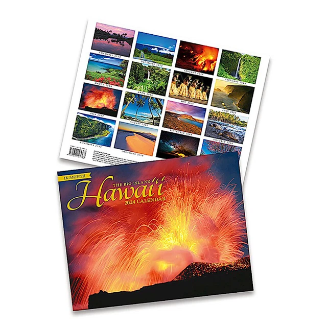 16 MONTH TRADE 2024 Calendar November 2023 February 2025 Big Island