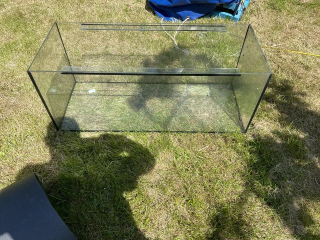 Fish Tank