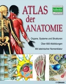ATLAS DER ANATOMIE: Der menschliche Körper und s... | Book | condition ...