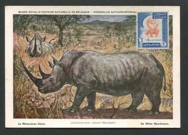 SOUDAN MK 1958 FAUNA NASHORN RHINO MAXIMUMKARTE CARTE MAXIMUM CARD MC CM d7889