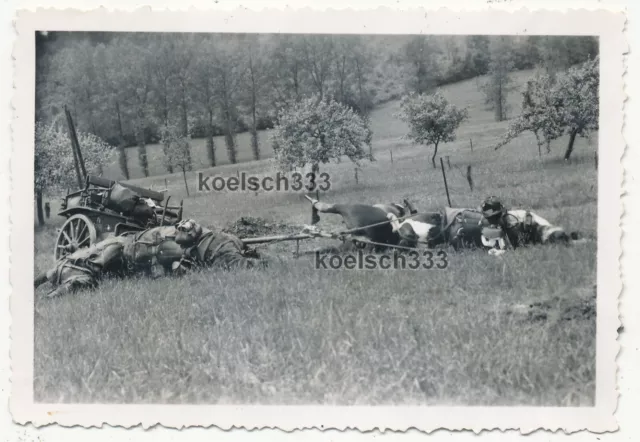 Foto Volltreffer in einen Pferde Gefechtswagen der Wehrmacht in Frankreich 1940