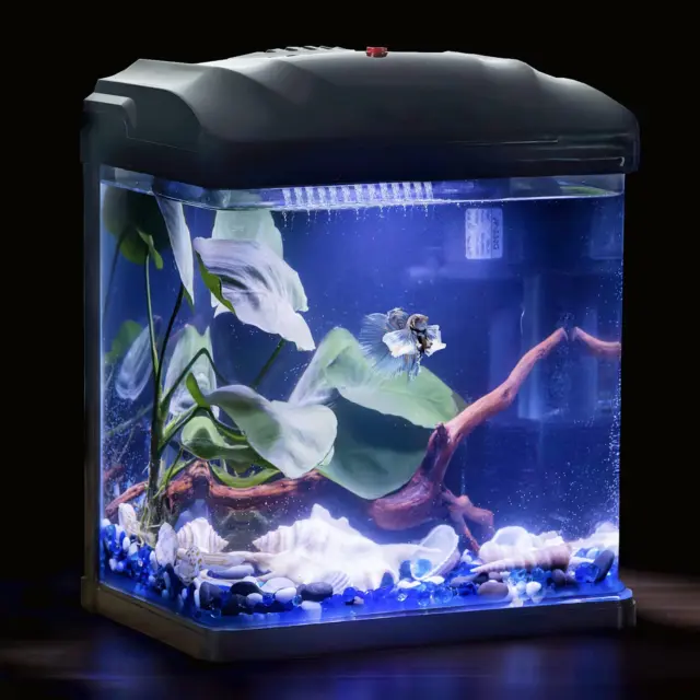 Glass Betta Fish Tank Set up Aquarium Starter Kit Small Nano 1.8 Gallon with Qui