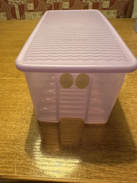 Tupperware KlimaOase 1,6 Liter: Lila Aufbewahrungsbox Für Frisches Gemüse