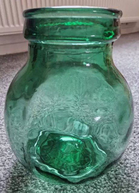 Viresa Vintage Green Glass Bottle Terrarium Carboy