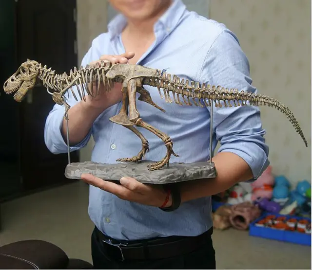 4D Dinosaur Skeleton Fossils Bones Puzzle Kids Toy Collection Animal Model Decor