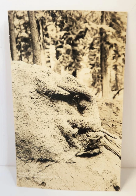 RPPC Postcard Oregon Lady Of The Woods Crater Lake National Park 1920s Patterson