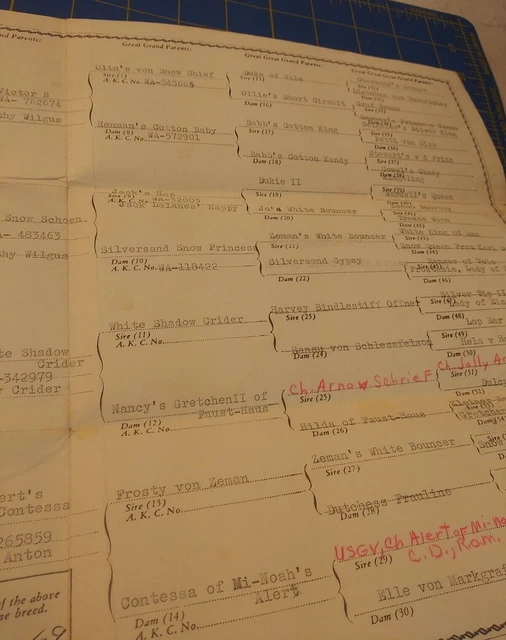Lot of 14 Vintage Papers Documents Receipts Etc. 1930s 40s 50s War Ration Book 21