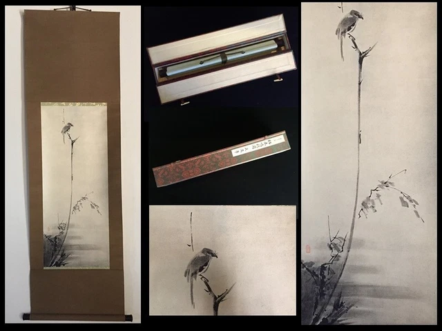 O1623 Japanische Aufhängbare Scroll Kakejiku Vintage Hand- Farbe Papier Musashi