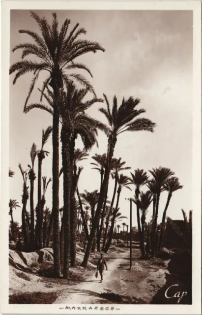 CPA AK MARRAKECH View in Palms MOROCCO (24270)