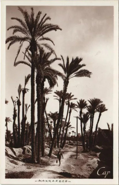CPA AK MARRAKECH vue dans les Palmiers MAROC (24270)