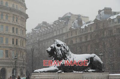 Photo  Trafalgar Square London W1 One Of The Lions In Trafalgar Square.  2013