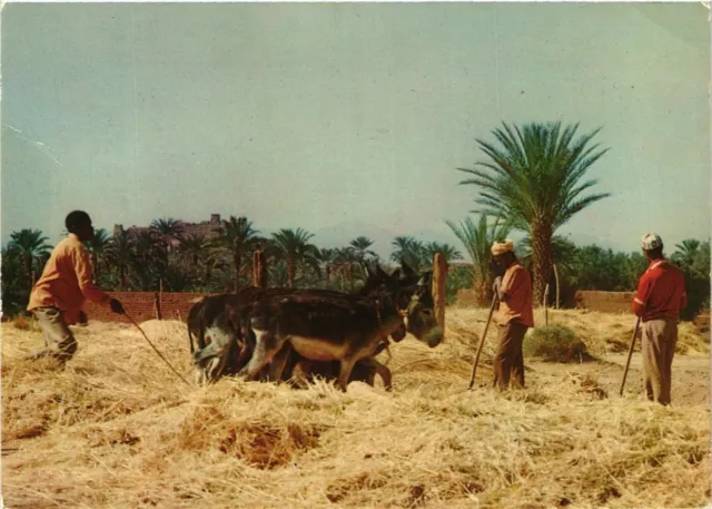 CPM AK MAROC Typique (342850)