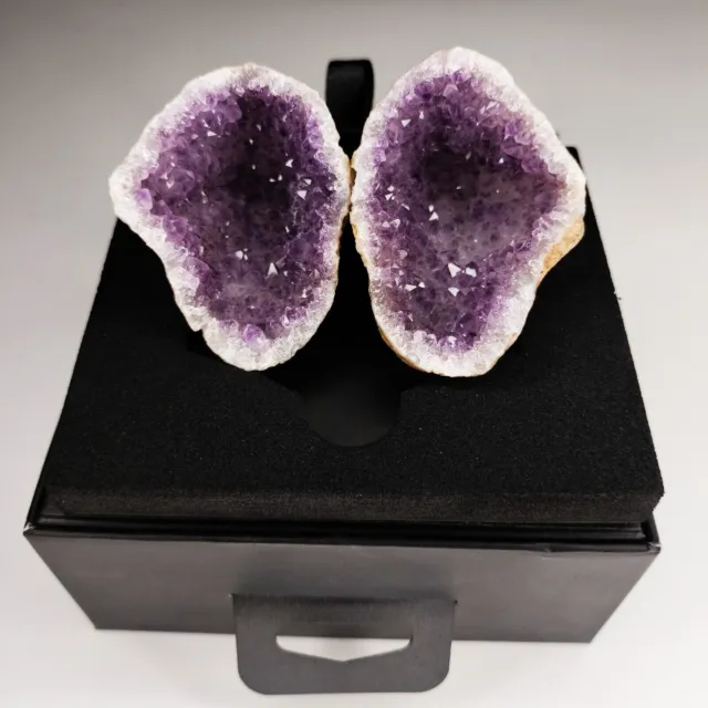 Collezione Ametista Druzy Collezione di campioni minerali di geode viola