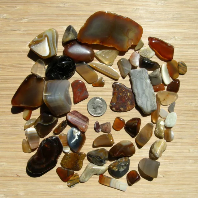 1lb Lot Polished Rocks Mixed Stones and Slices Tumbled Agate Crystals and Jasper