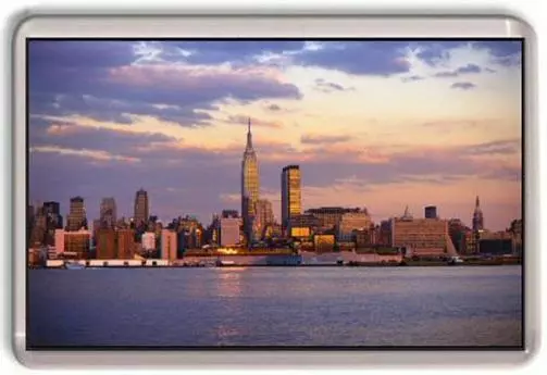 New york City sky line Fridge Magnet #1