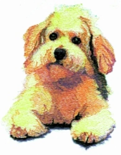 Embroidered Sweatshirt - Bichon Frise BT2790 Sizes S - XXL